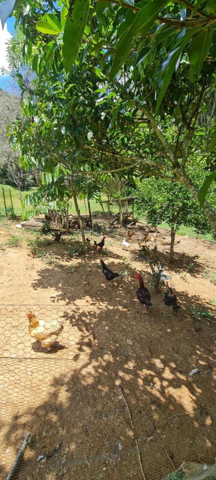 Sitio Saramandaia Juquitiba Exterior foto